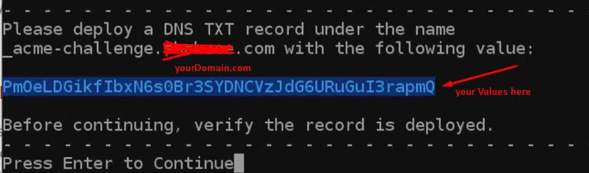 add-txt-record-ssh